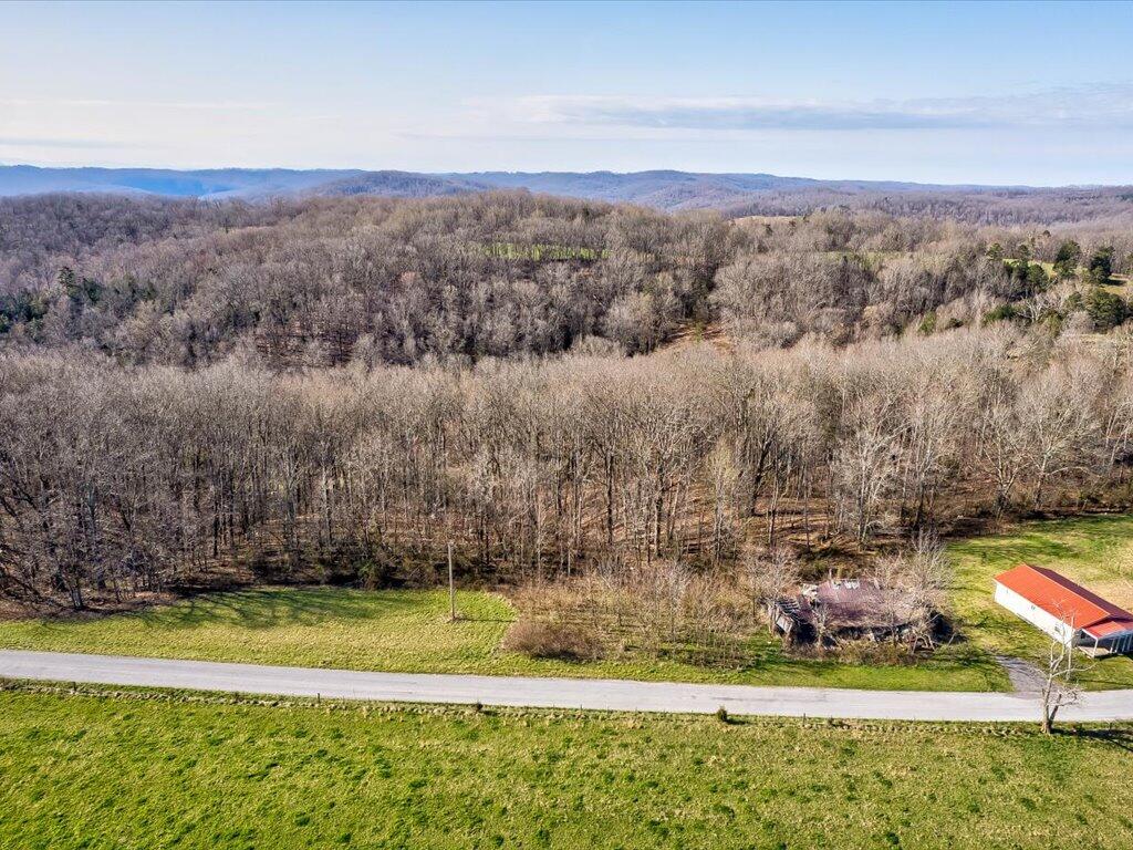 4 Wilson Road, Unit 4 Speedwell, TN 37870 - Photo 4 of 27 Tract 4 Wilson Rd - 4