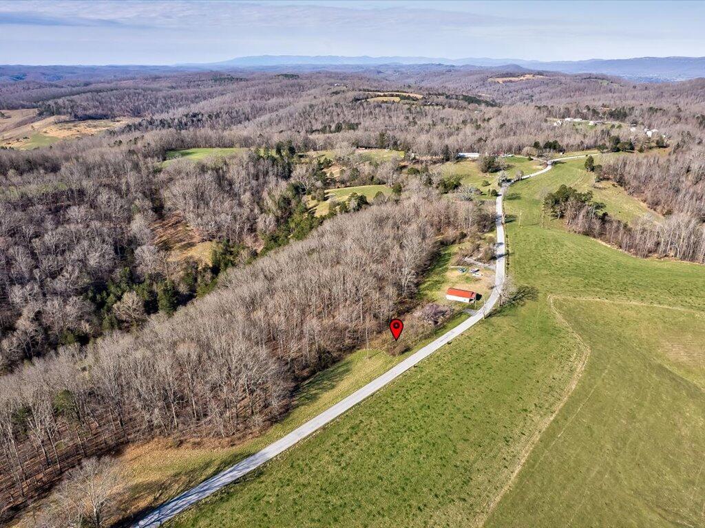4 Wilson Road, Unit 4 Speedwell, TN 37870 - Photo 5 of 27 Tract 4 Wilson Rd - 5