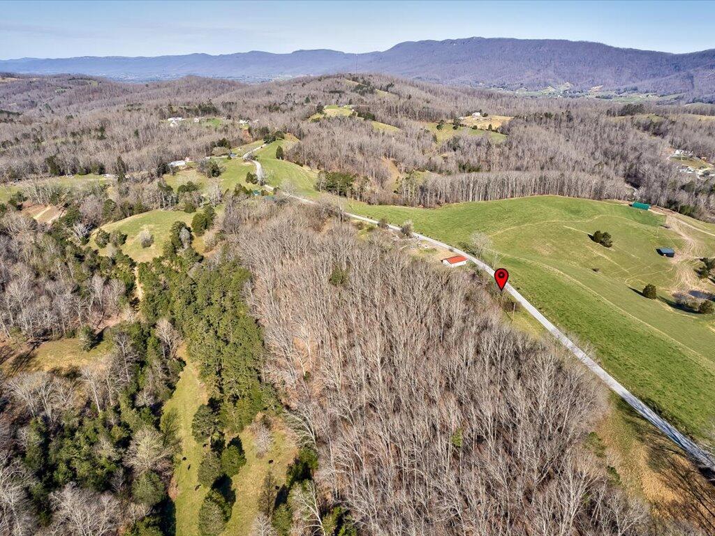 4 Wilson Road, Unit 4 Speedwell, TN 37870 - Photo 8 of 27 Tract 4 Wilson Rd - 8
