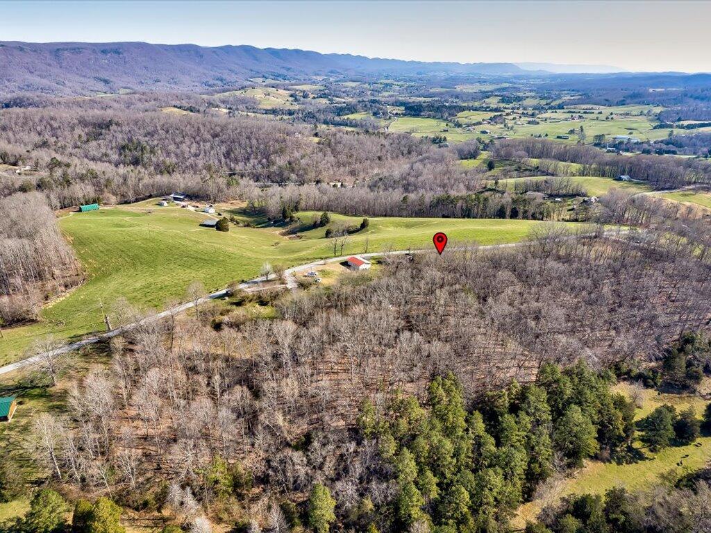 4 Wilson Road, Unit 4 Speedwell, TN 37870 - Photo 10 of 27 Tract 4 Wilson Rd - 10