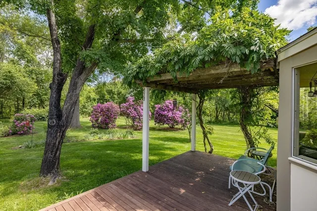 a backyard of a house with table and chairs plants and large tree