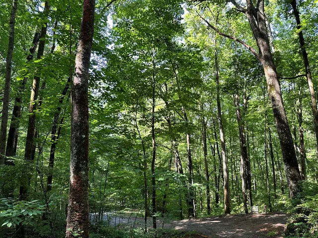 a view of outdoor space and green space