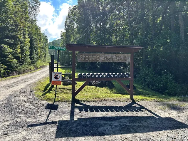 a view of a lush green forest
