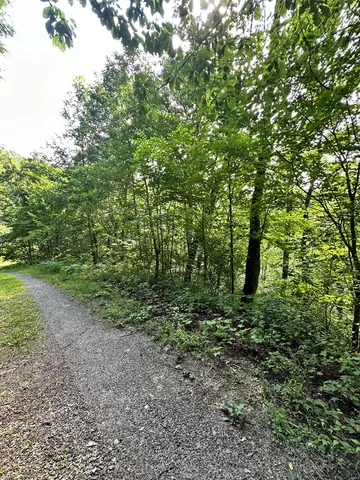 a view of a garden with trees