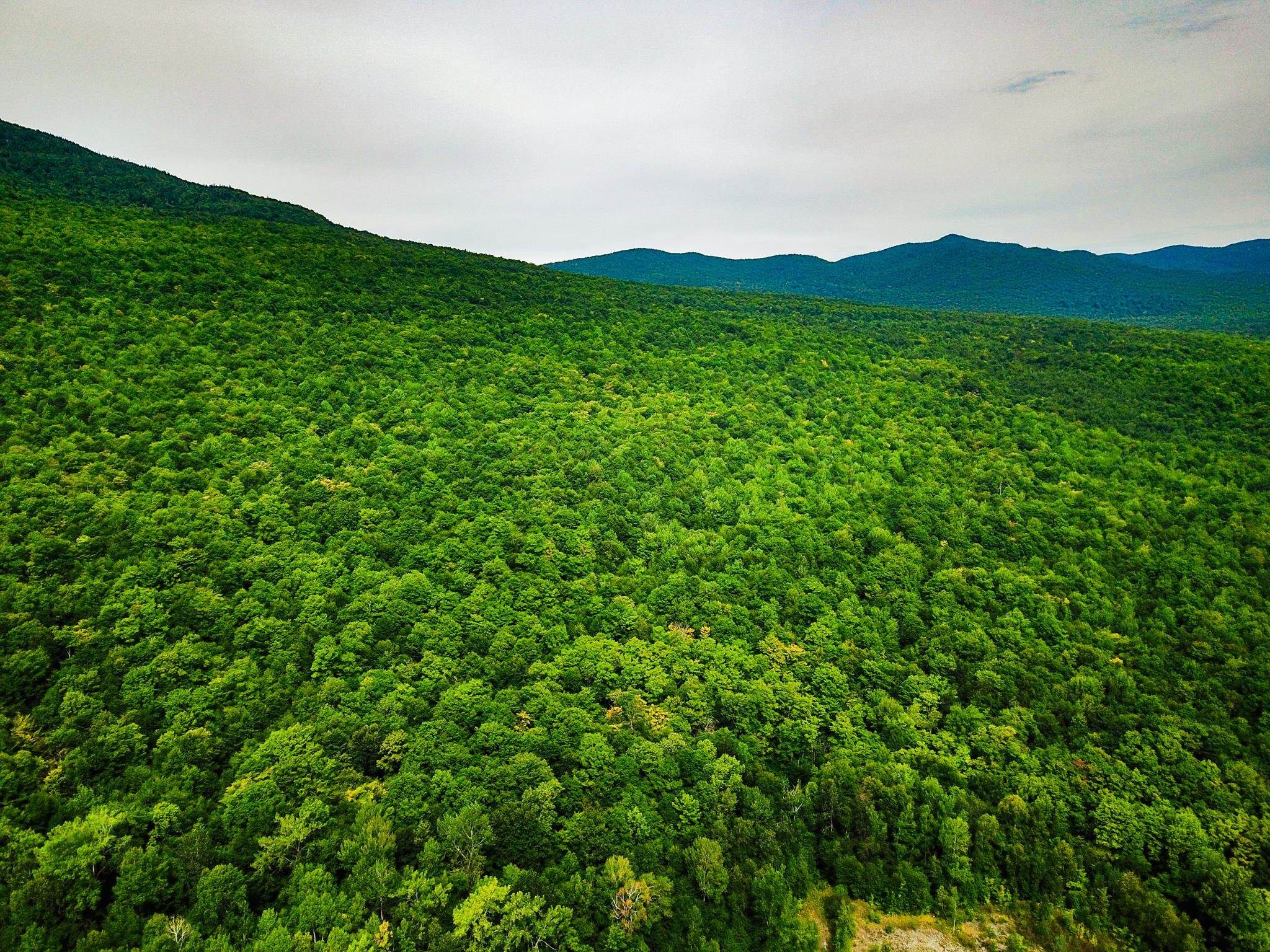 4166 Mines Road Lowell, VT 05847 - Photo 21 of 57