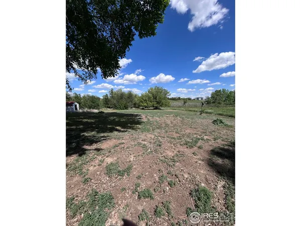 a view of a yard in front of a house