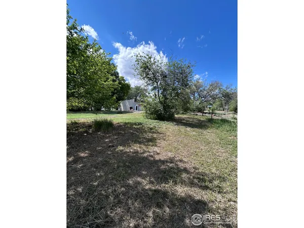 a view of a yard with large trees