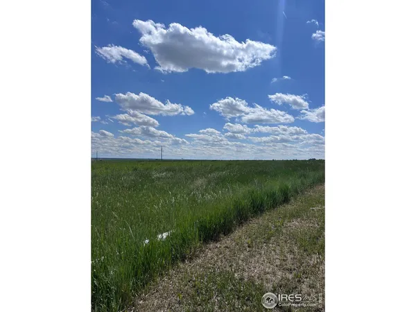 a view of a lake in the background