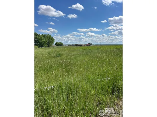 a view of a garden from a building