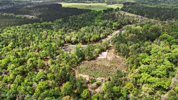 $199,500 | Lot 6 Pine Ridge Lane, Lucedale, MS 39452