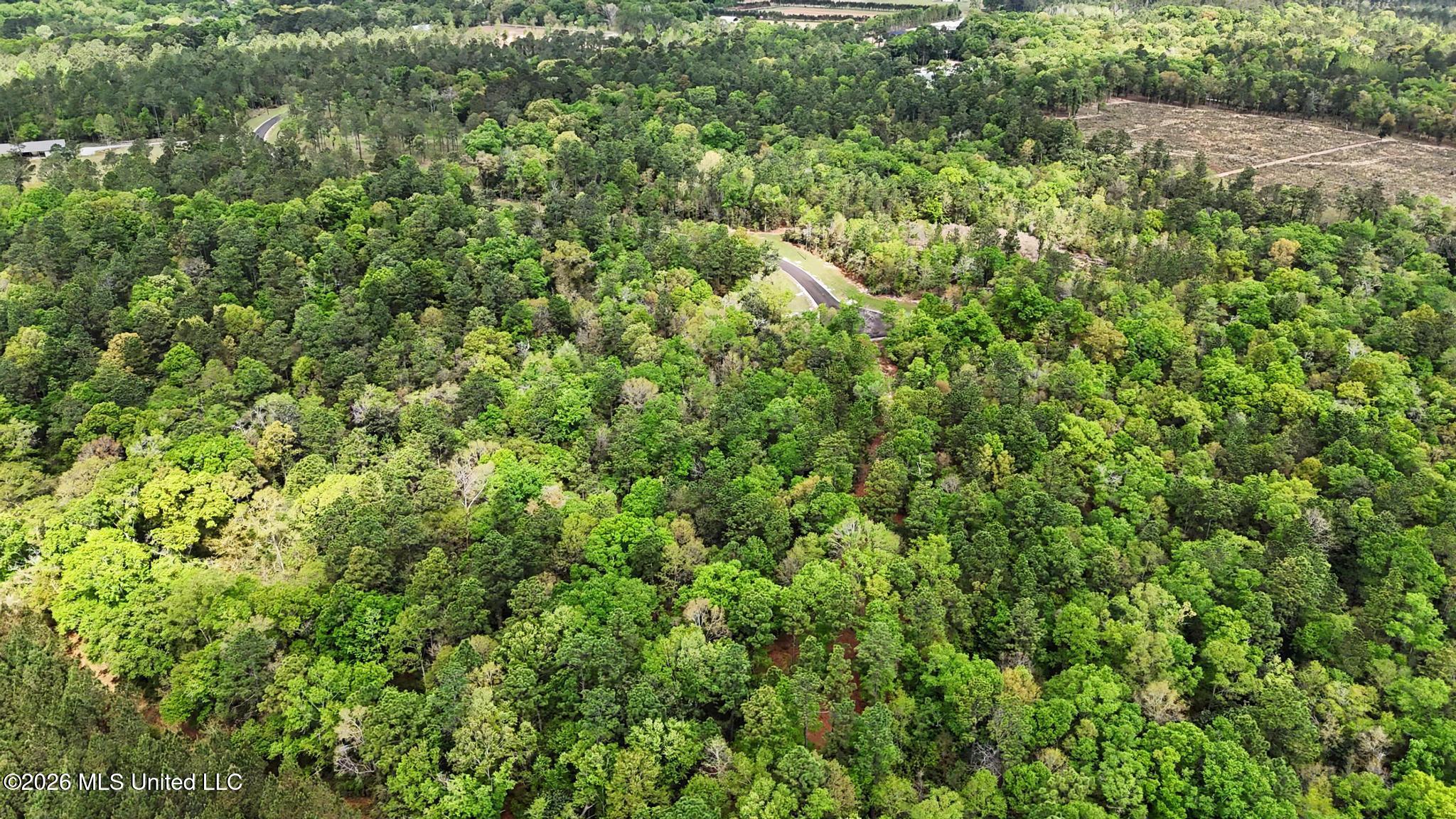 Lot 6 Pine Ridge Lane Lucedale, MS 39452 - Photo 15 of 16 015
