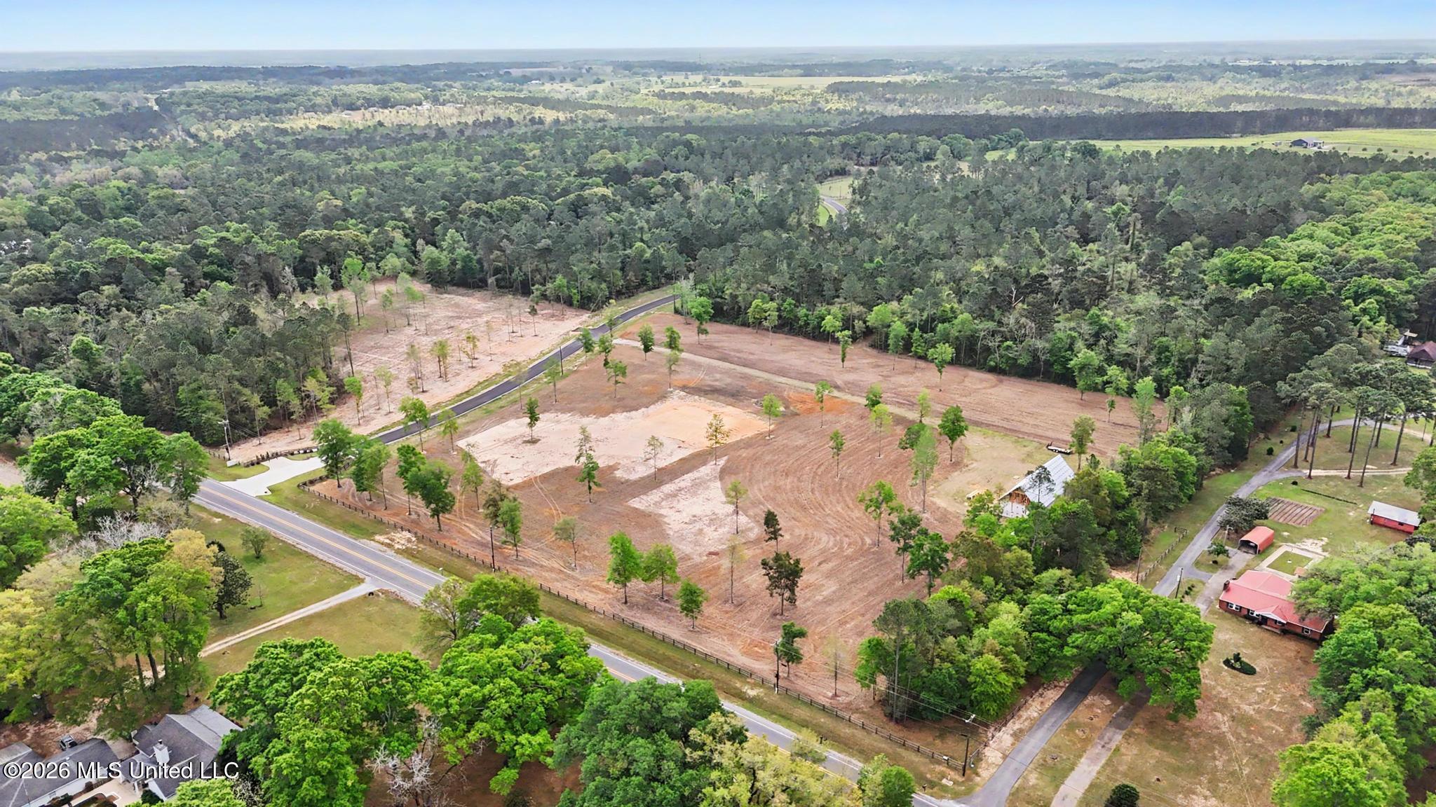 Lot 6 Pine Ridge Lane Lucedale, MS 39452 - Photo 4 of 16 004