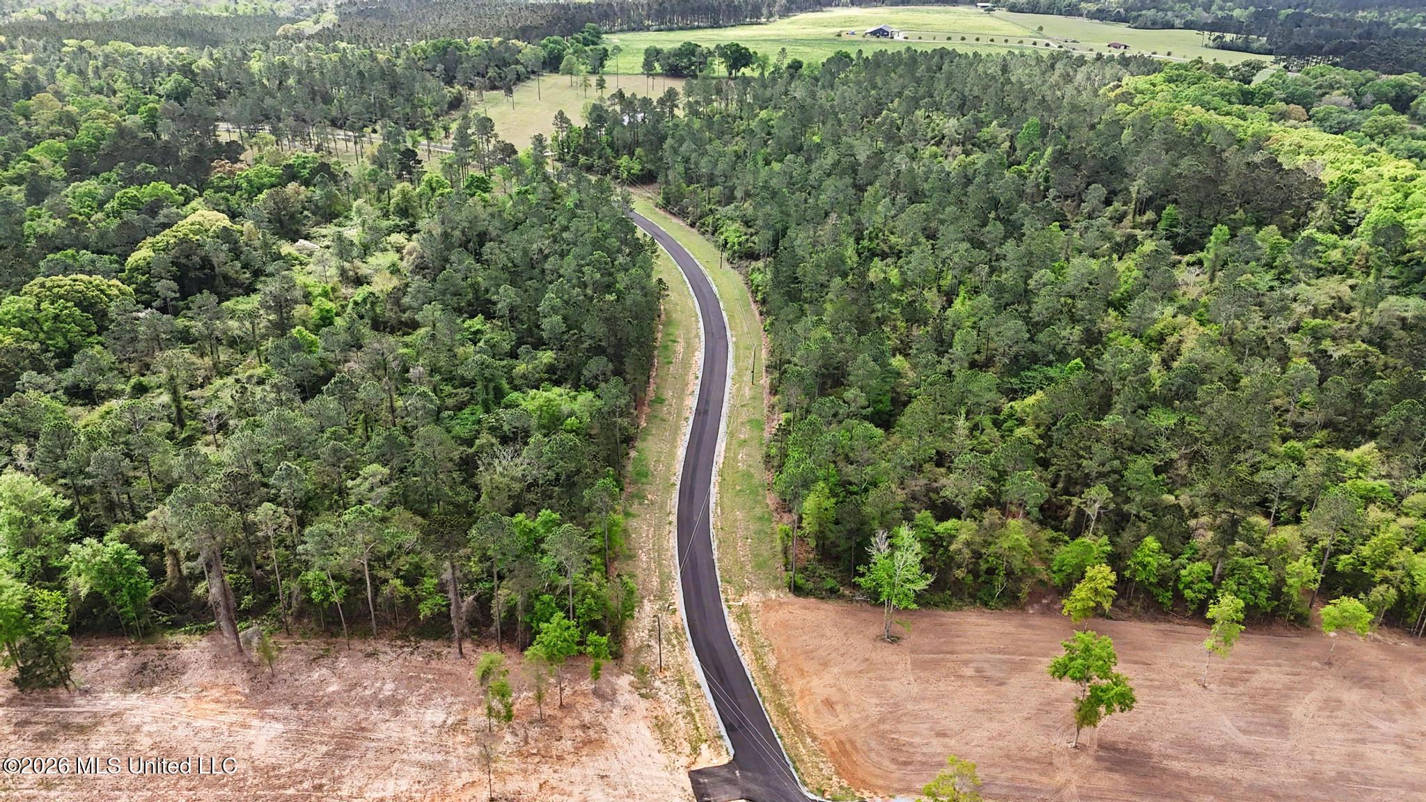 Lot 6 Pine Ridge Lane Lucedale, MS 39452 - Photo 6 of 16 006