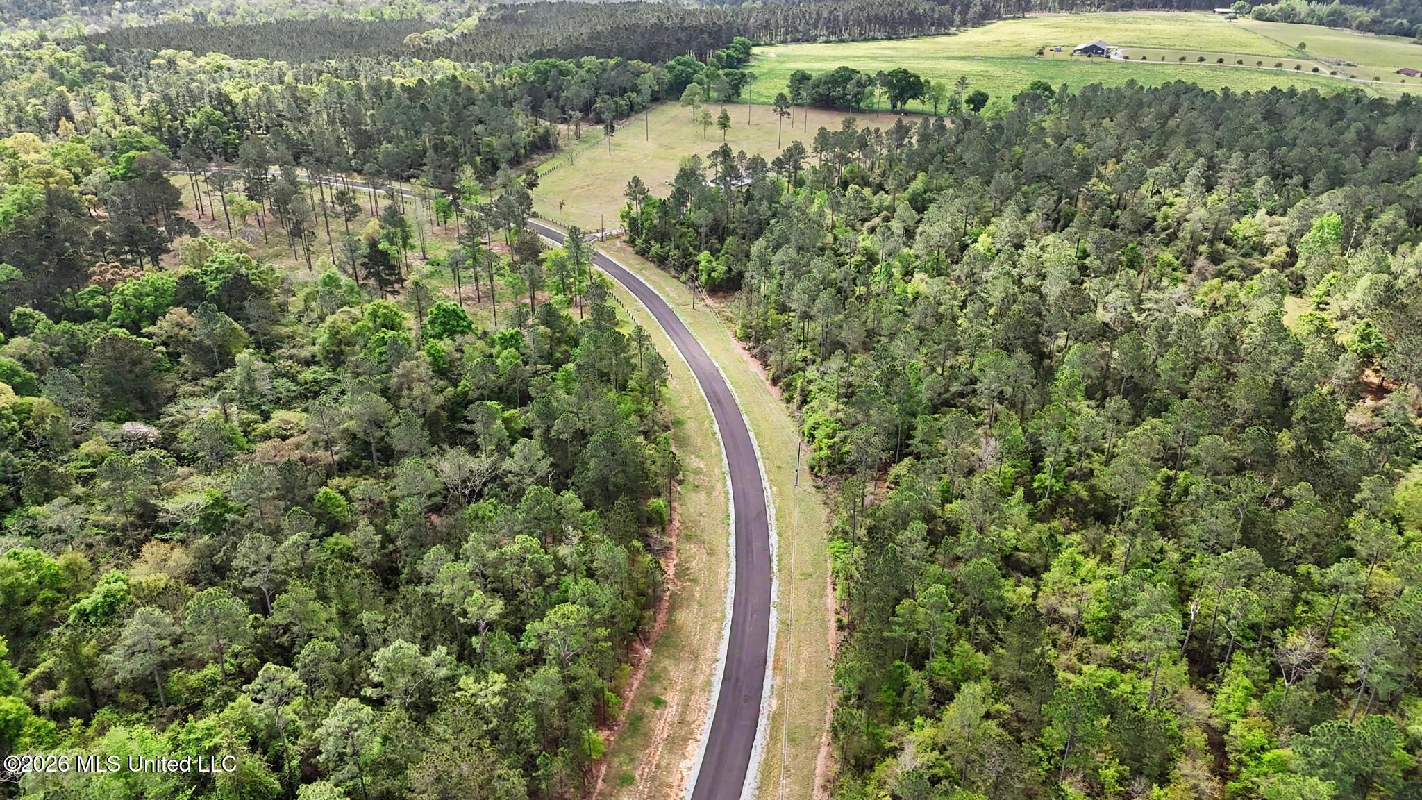 Lot 6 Pine Ridge Lane Lucedale, MS 39452 - Photo 7 of 16 007