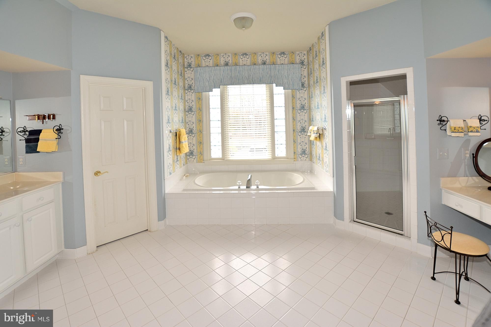 7995 Pinnacle Ridge Drive Manassas, VA 20112 - Photo 17 of 26 Bath (Master)