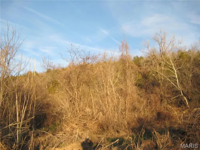 $99,000 | 0 Bogy Street, De Soto, MO 63020