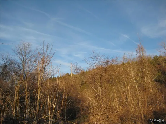 $99,000 | 0 Bogy Street, De Soto, MO 63020