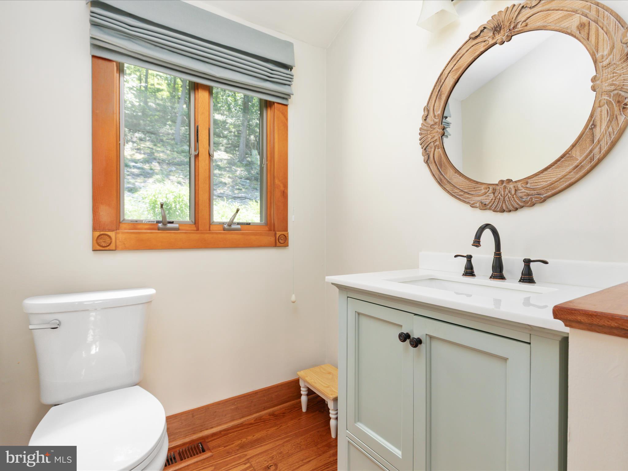 4327 Ebenezer Road Bluemont, VA 20135 - Photo 13 of 93 a bathroom with a toilet a sink and a mirror