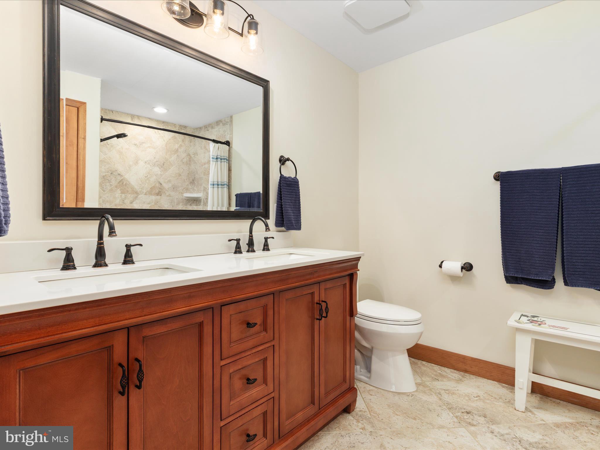4327 Ebenezer Road Bluemont, VA 20135 - Photo 19 of 93 a bathroom with a toilet sink and mirror