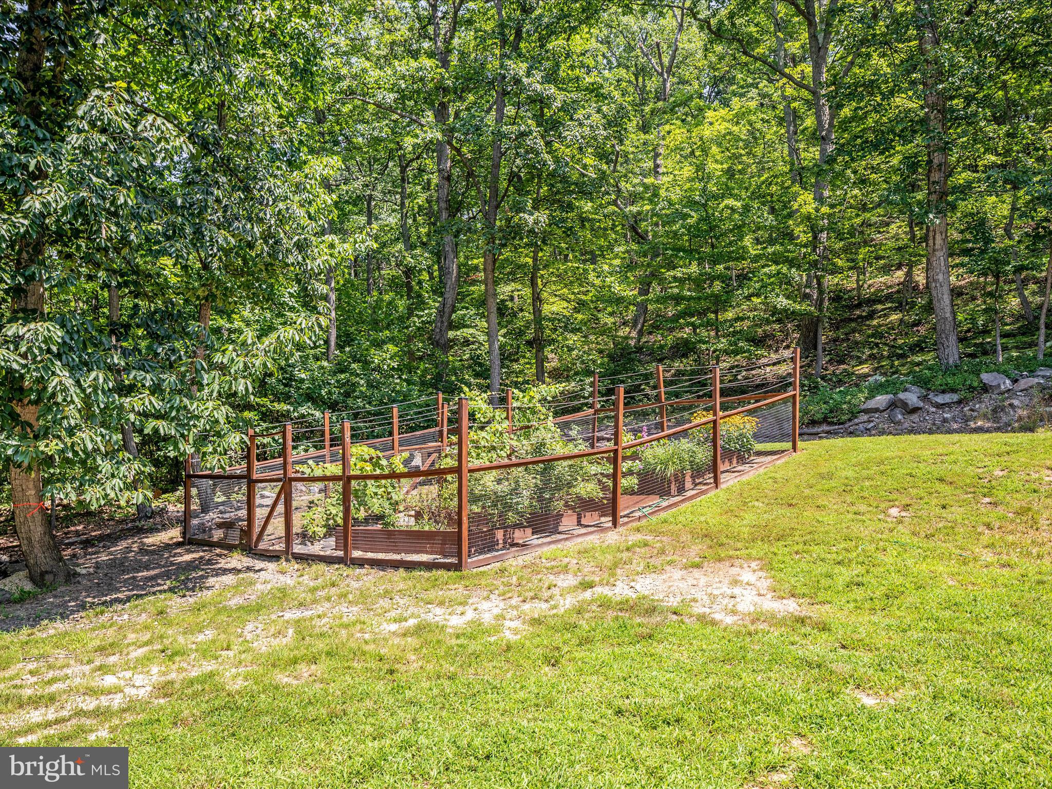 4327 Ebenezer Road Bluemont, VA 20135 - Photo 4 of 93