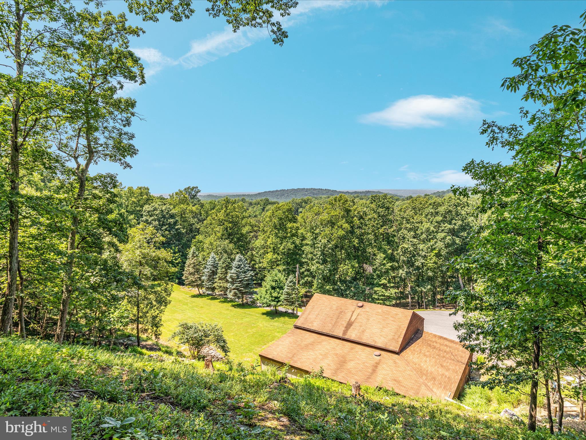 4327 Ebenezer Road Bluemont, VA 20135 - Photo 41 of 93 a view of a yard