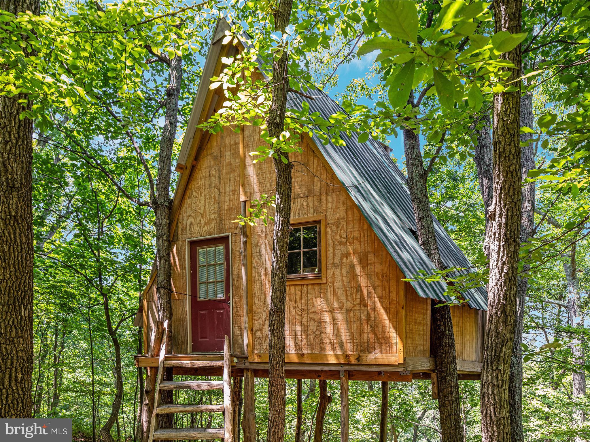 4327 Ebenezer Road Bluemont, VA 20135 - Photo 42 of 93 Tree house!