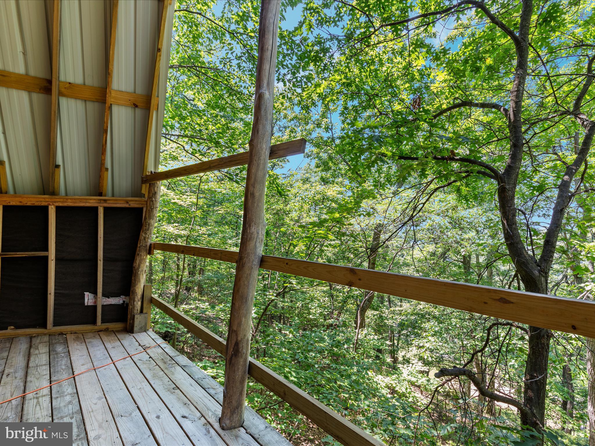 4327 Ebenezer Road Bluemont, VA 20135 - Photo 44 of 93