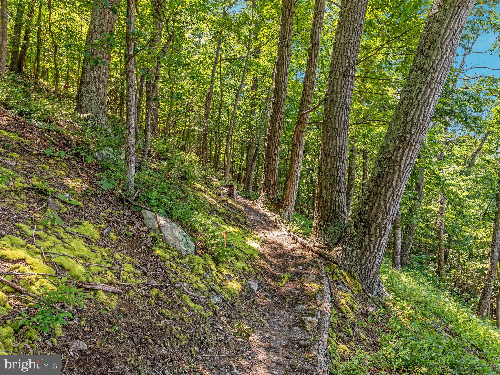 4327 Ebenezer Road Bluemont, VA 20135 - Photo 45 of 93