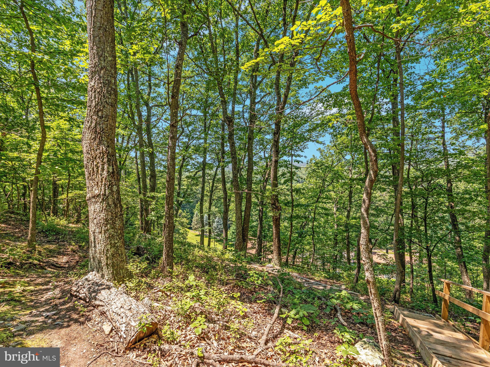 4327 Ebenezer Road Bluemont, VA 20135 - Photo 46 of 93