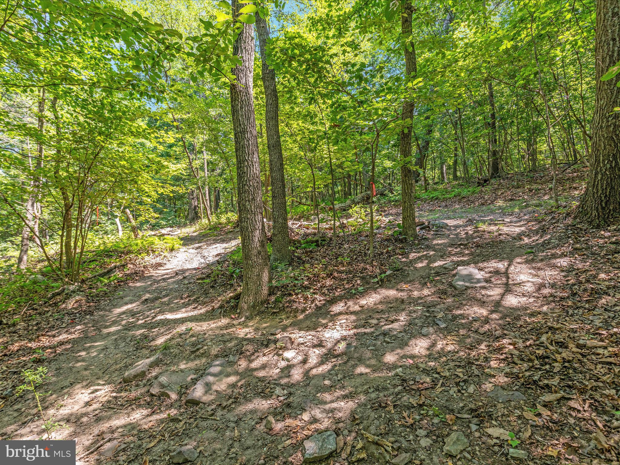 4327 Ebenezer Road Bluemont, VA 20135 - Photo 47 of 93