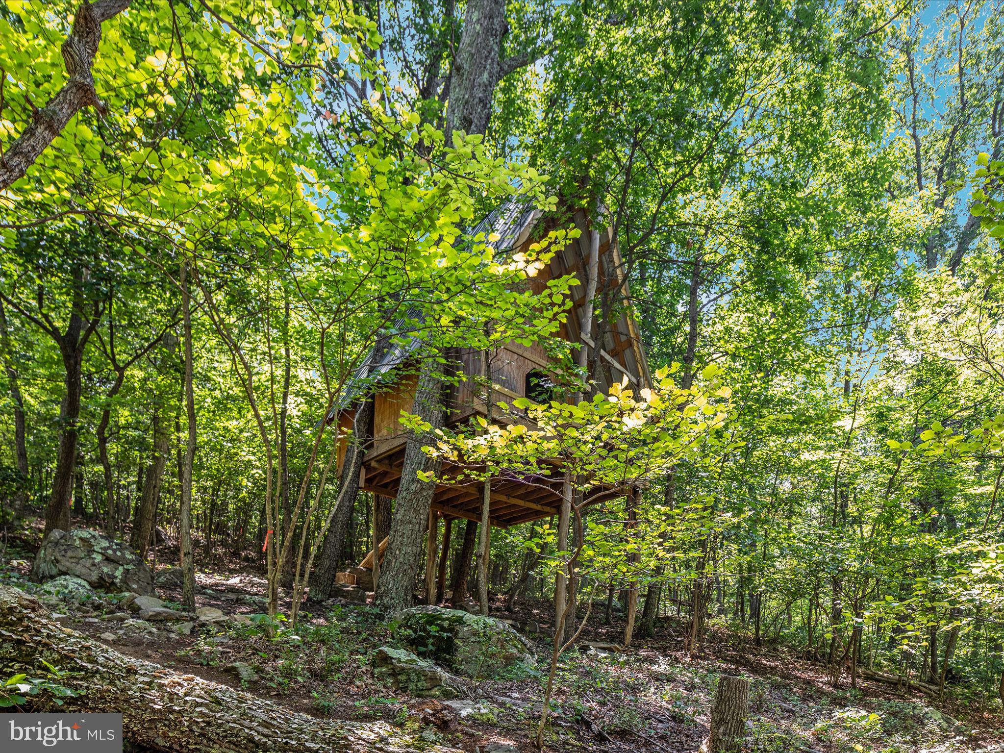 4327 Ebenezer Road Bluemont, VA 20135 - Photo 48 of 93