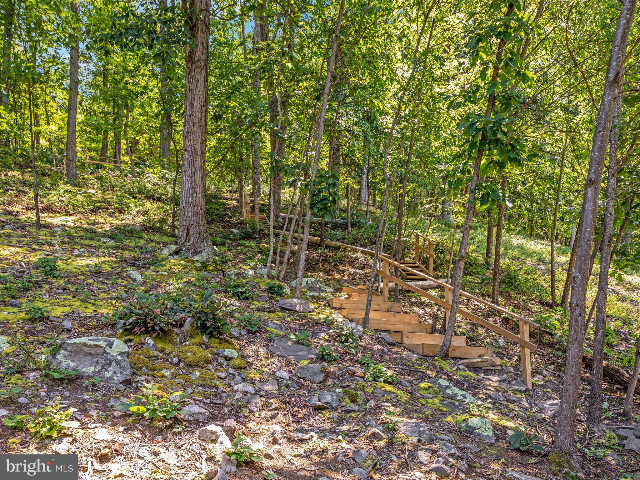 4327 Ebenezer Road Bluemont, VA 20135 - Photo 50 of 93