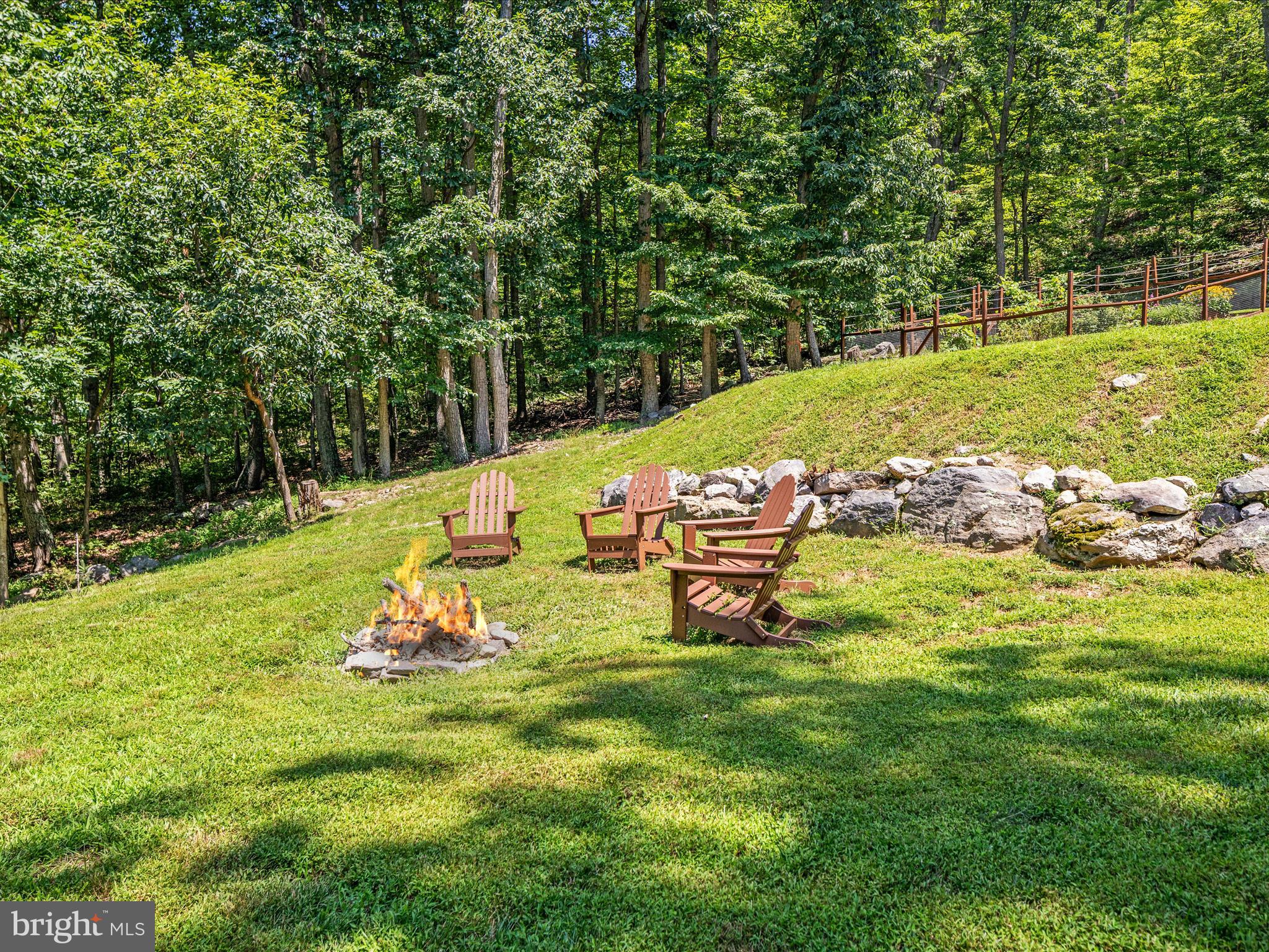 4327 Ebenezer Road Bluemont, VA 20135 - Photo 56 of 93 a view of a park with large trees
