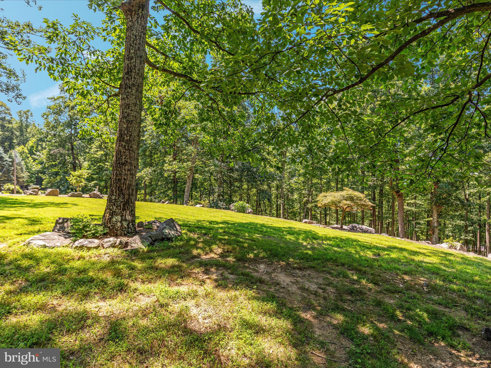 4327 Ebenezer Road Bluemont, VA 20135 - Photo 60 of 93