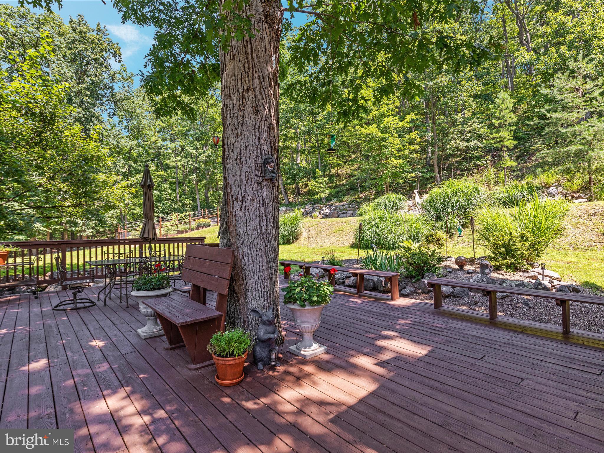 4327 Ebenezer Road Bluemont, VA 20135 - Photo 65 of 93
