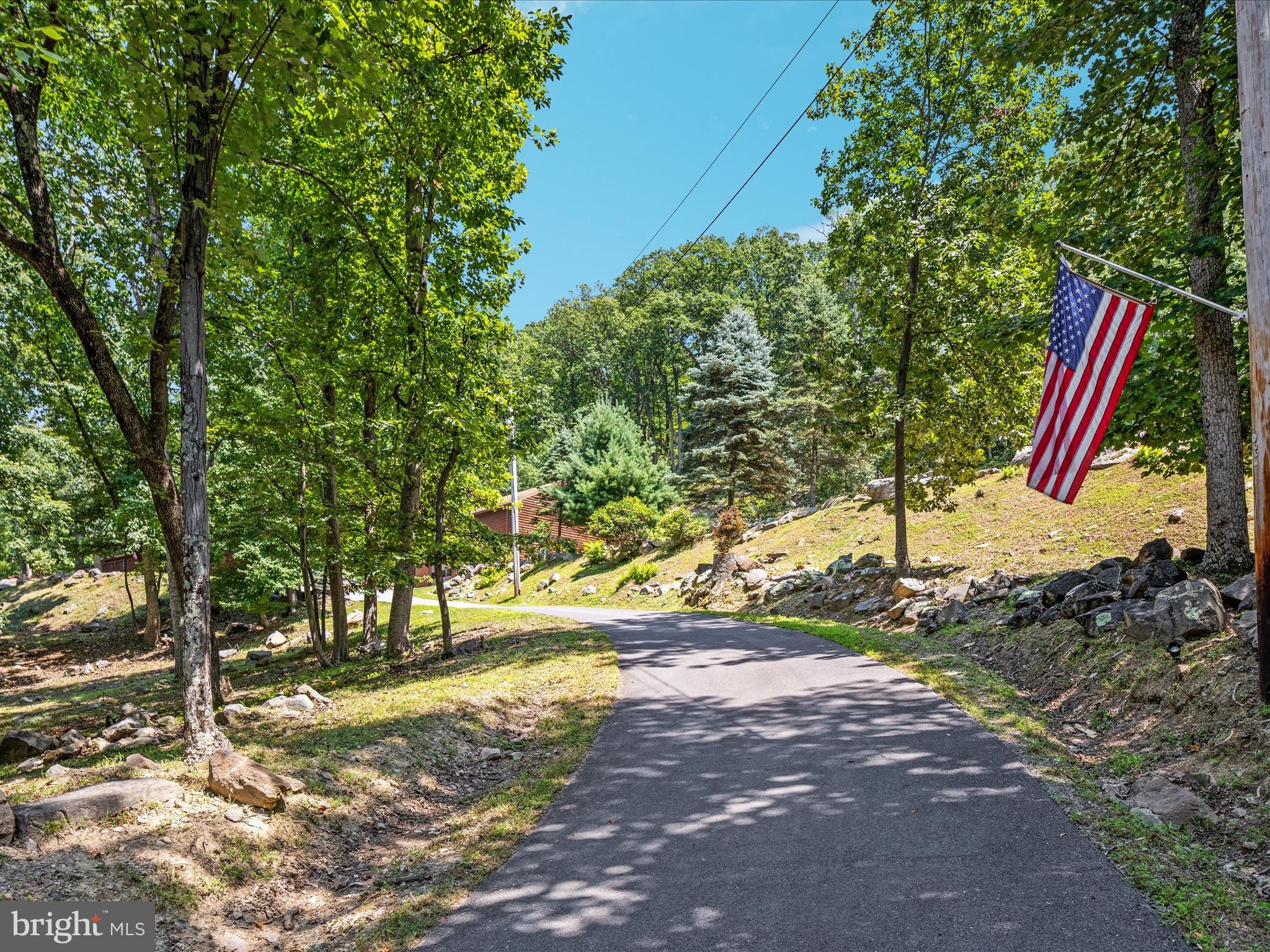 4327 Ebenezer Road Bluemont, VA 20135 - Photo 73 of 93 a view of a yard with plants and trees