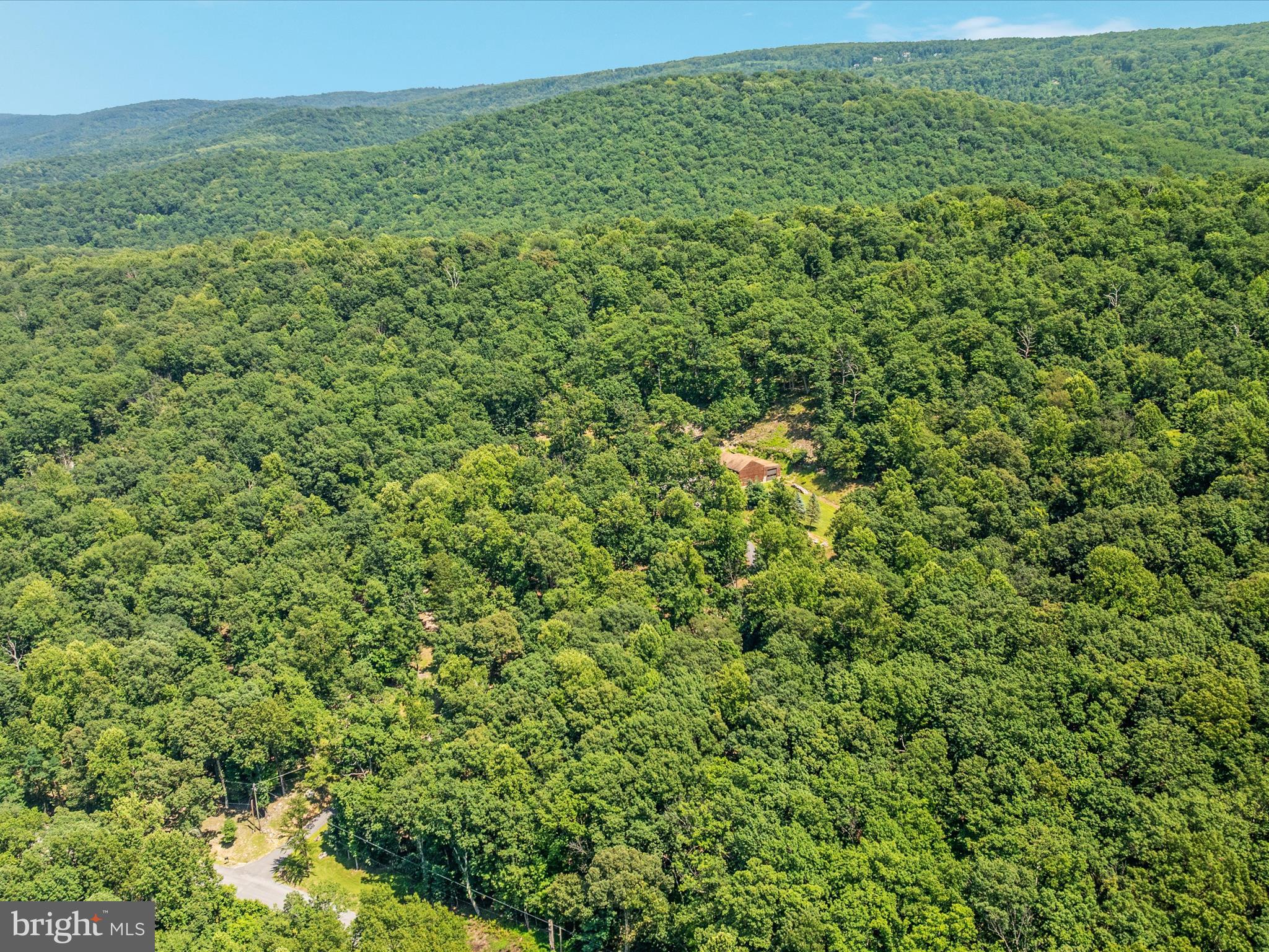 4327 Ebenezer Road Bluemont, VA 20135 - Photo 74 of 93 a view of a big yard with plants and large trees
