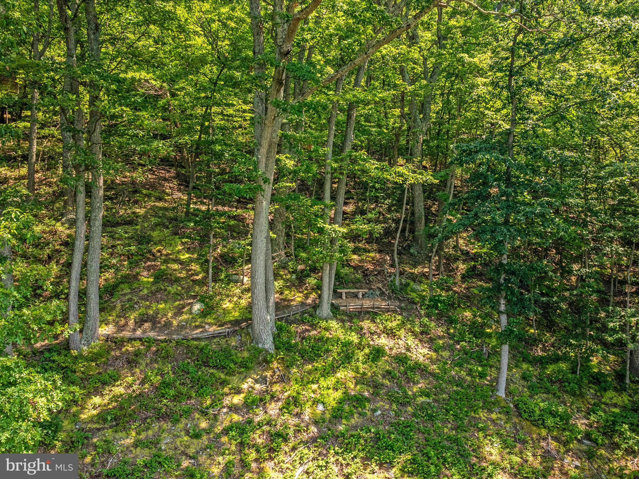 4327 Ebenezer Road Bluemont, VA 20135 - Photo 86 of 93