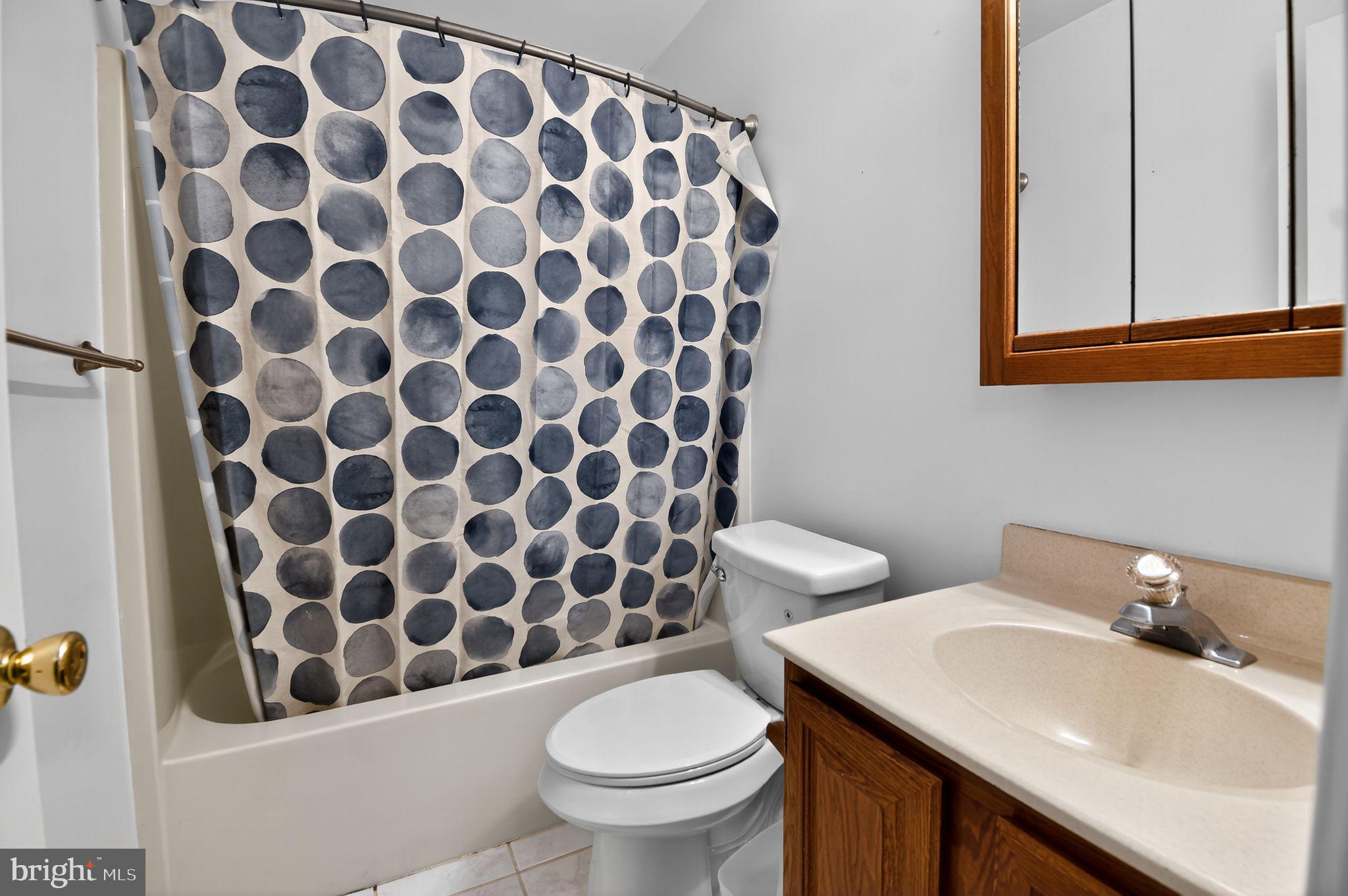 22040 Caravel Court Great Mills, MD 20634 - Photo 23 of 32 a bathroom with a sink and mirror with toilet