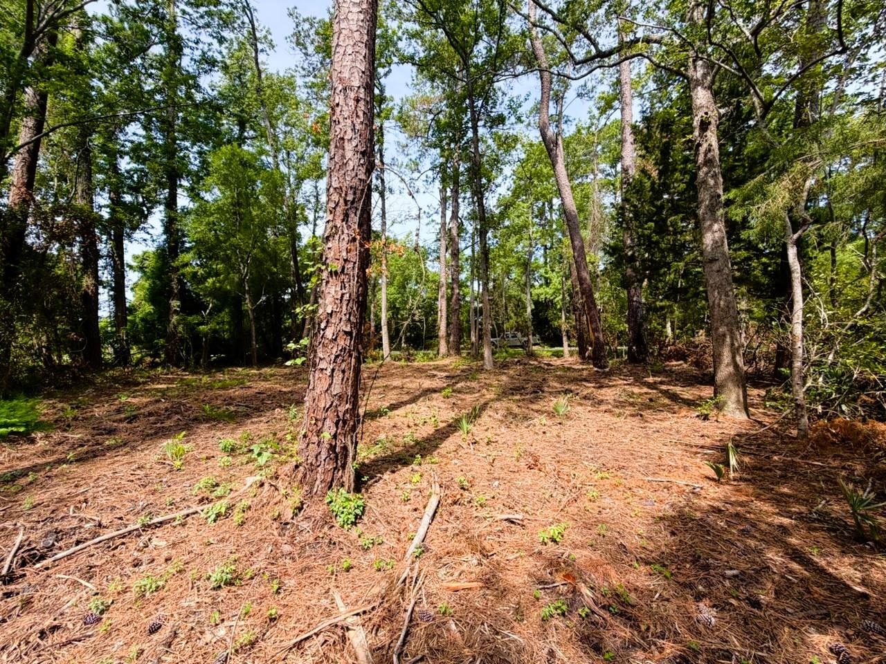 Tbd Oak Street Georgetown, SC 29440 - Photo 5 of 21