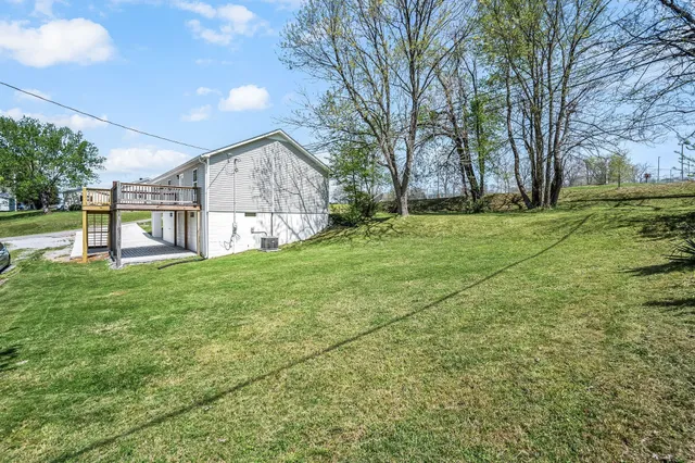a view of a house with yard and a tree