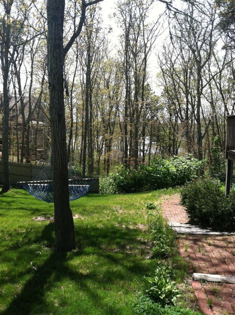 87 Chatham Road Harwich, MA 02645 - Photo 12 of 15 a view of a park with large trees