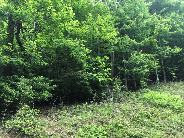 $17,000 | 0 North Blue Ridge Parkway East, Unit 167, Jefferson, NC 28640
