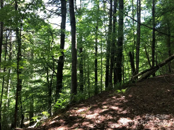 $17,000 | 0 North Blue Ridge Parkway East, Unit 167, Jefferson, NC 28640