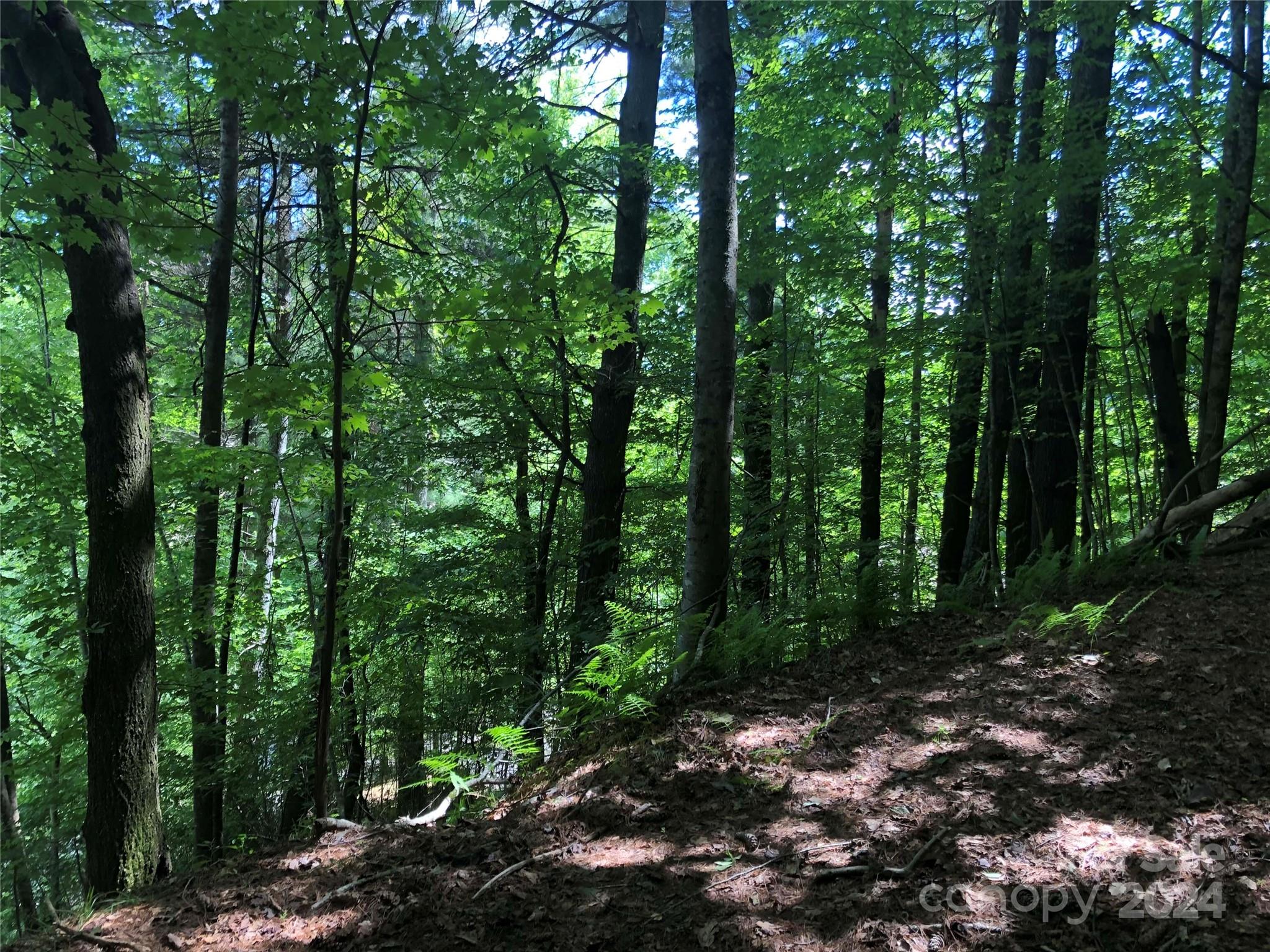 0 North Blue Ridge Parkway East, Unit 167 Jefferson, NC 28640 - Photo 4 of 5