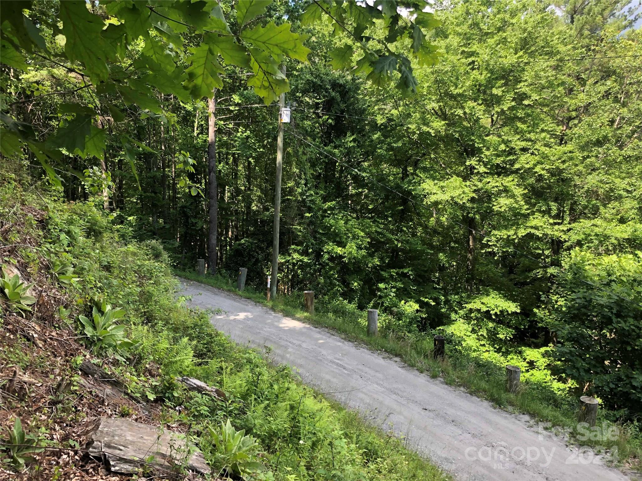 0 North Blue Ridge Parkway East, Unit 167 Jefferson, NC 28640 - Photo 5 of 5