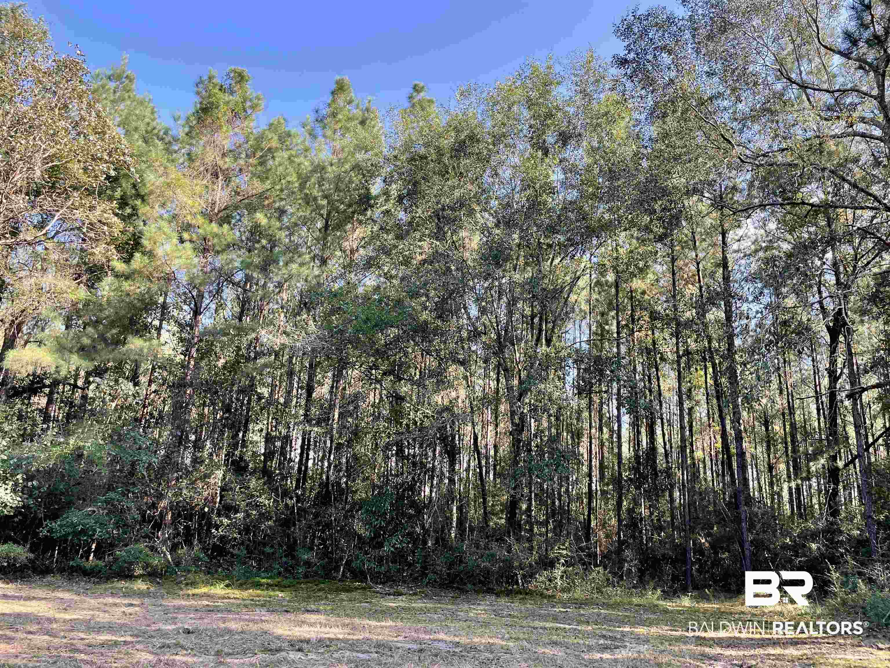 0 Country Road Vinegar Bend, AL 36584 - Photo 32 of 46