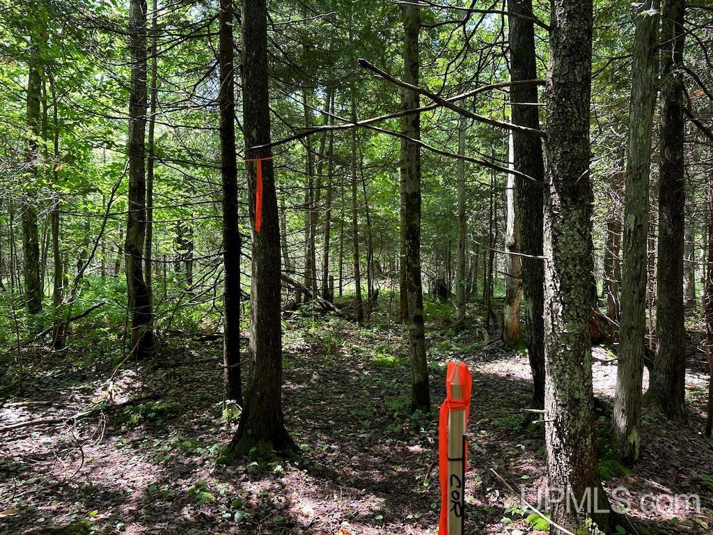 Parcel A Webb Road Grand Marais, MI 49839 - Photo 8 of 29