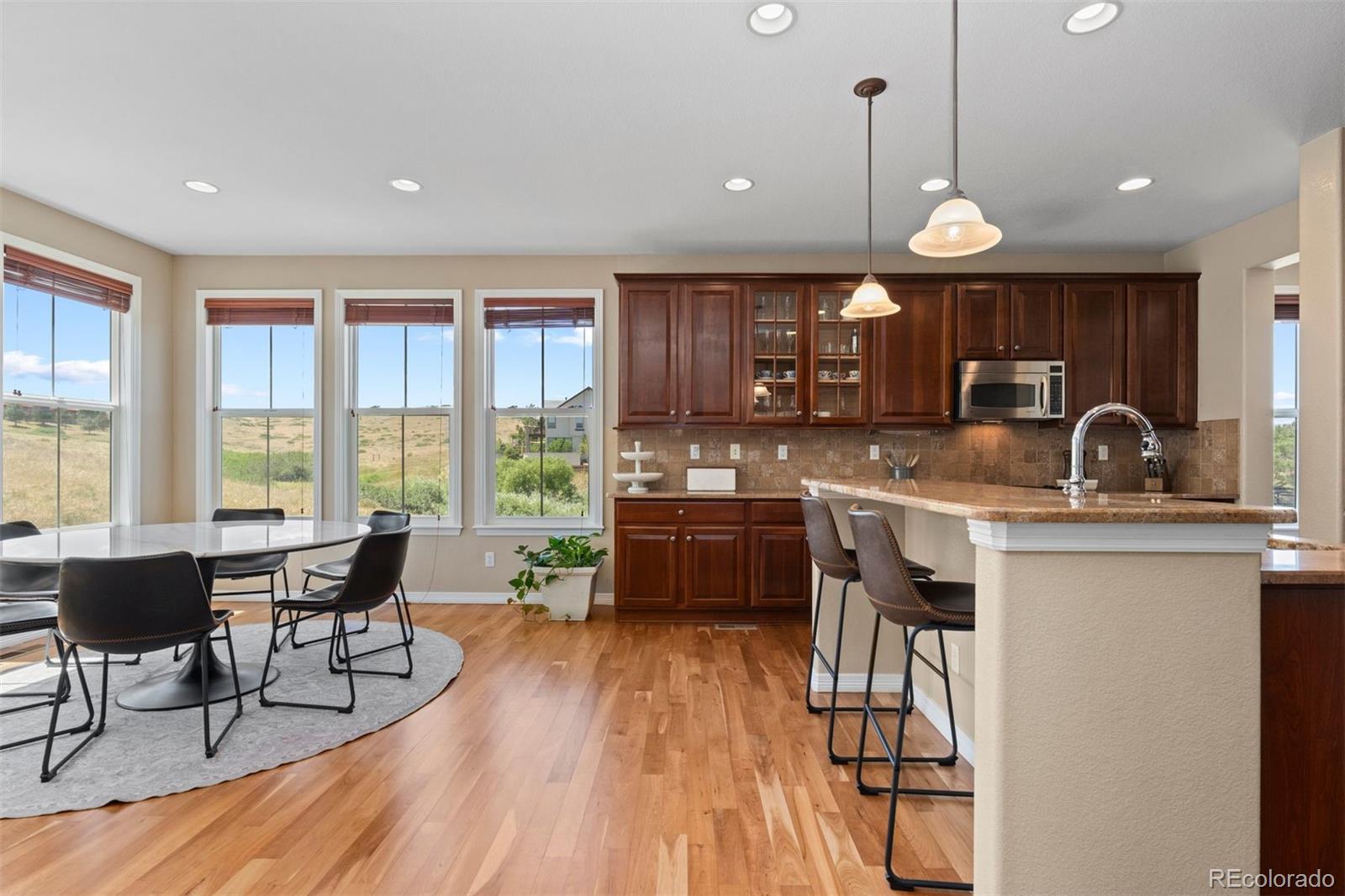 3860 Fairbrook Point Highlands Ranch, CO 80130 - Photo 12 of 42