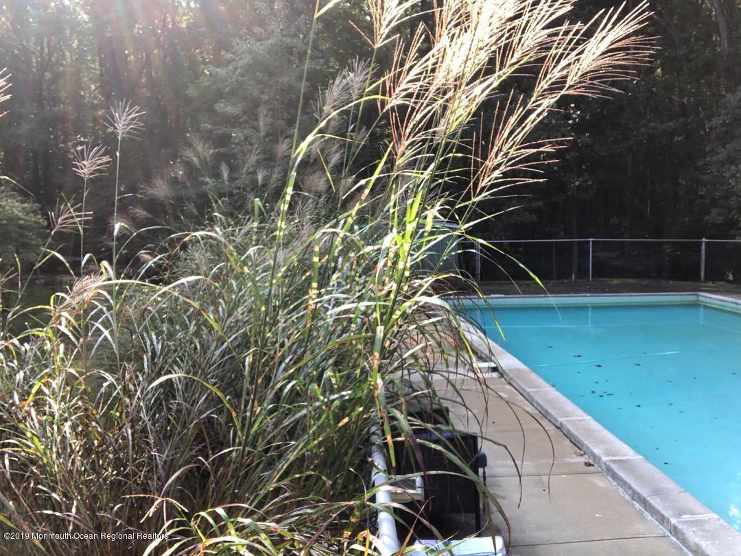 35 Pine Drive Roosevelt, NJ 08555 - Photo 30 of 32 35 Pine Pool 2